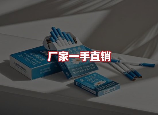专业团队